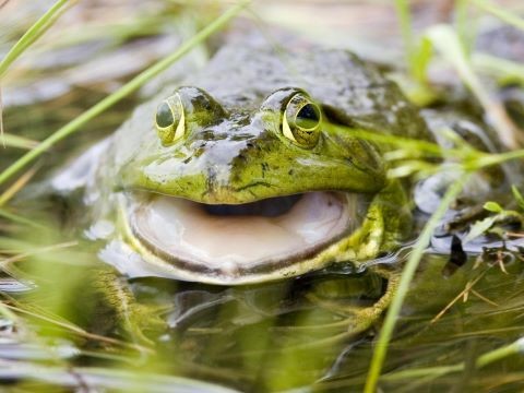 Porters Lake Park Tour | Nova Scotia Parks